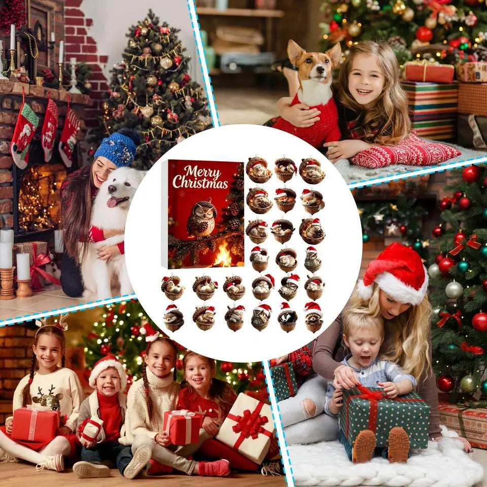 Forest Animal Calendar Christmas Advent 2026 2D Acrylic Animal Acorn 24 Days Christmas Countdown for Kids Adults Holiday Home